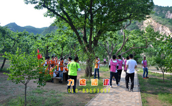 適合人多的團(tuán)建游戲_團(tuán)建小游戲人多_適合團(tuán)建人多玩的游戲